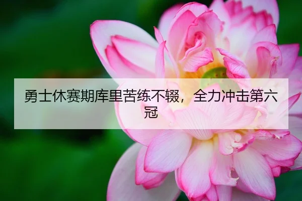 勇士休赛期库里苦练不辍，全力冲击第六冠