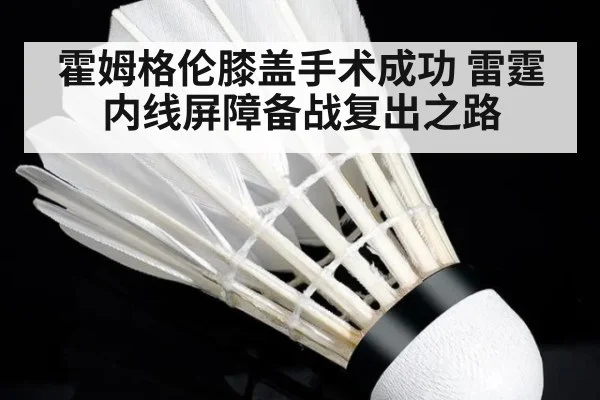 霍姆格伦膝盖手术成功 雷霆内线屏障备战复出之路